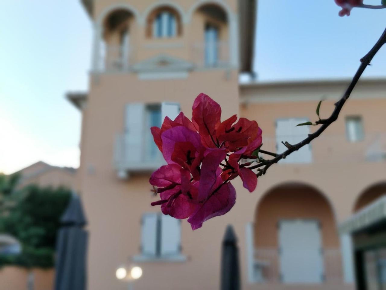 Hotel Et Appartements Reine D'Azur Roquebrune-Cap-Martin Exterior foto